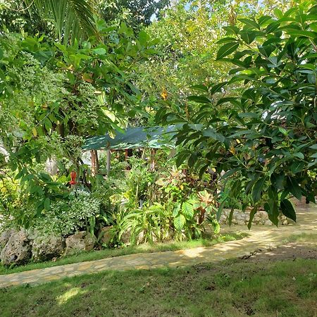 Zapote Tree Inn ฟลอเรส ภายนอก รูปภาพ