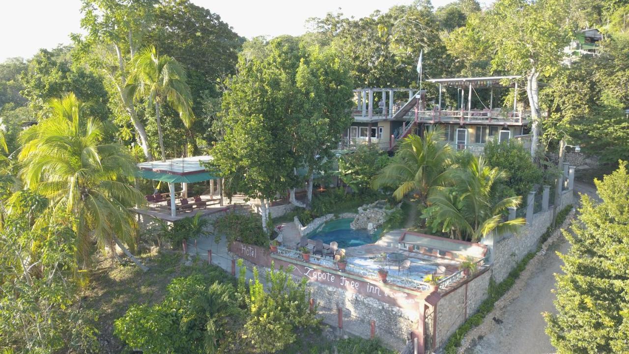 Zapote Tree Inn ฟลอเรส ภายนอก รูปภาพ